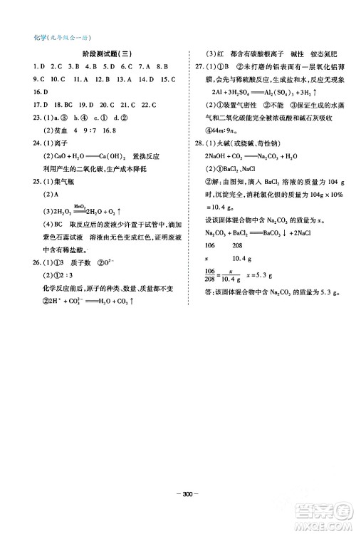 青岛出版社2024年春新课堂学习与探究九年级化学下册通用版答案