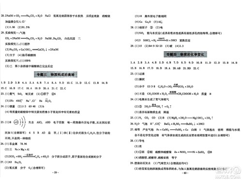青岛出版社2024年春新课堂学习与探究九年级化学下册通用版答案