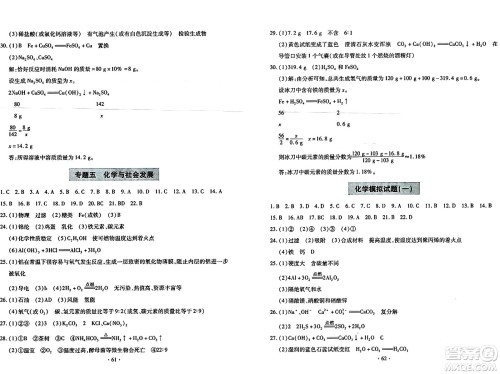 青岛出版社2024年春新课堂学习与探究九年级化学下册通用版答案