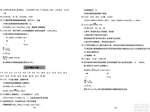 青岛出版社2024年春新课堂学习与探究九年级化学下册通用版答案