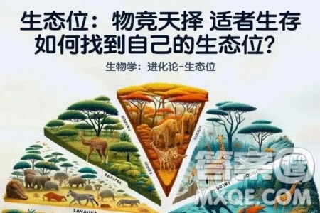 生态位话题作文800字 关于生态位的话题作文800字 生态位话题作文800字 关于生态位的话题作文800字