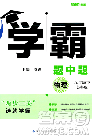 甘肃少年儿童出版社2024年春学霸题中题九年级物理下册苏科版答案