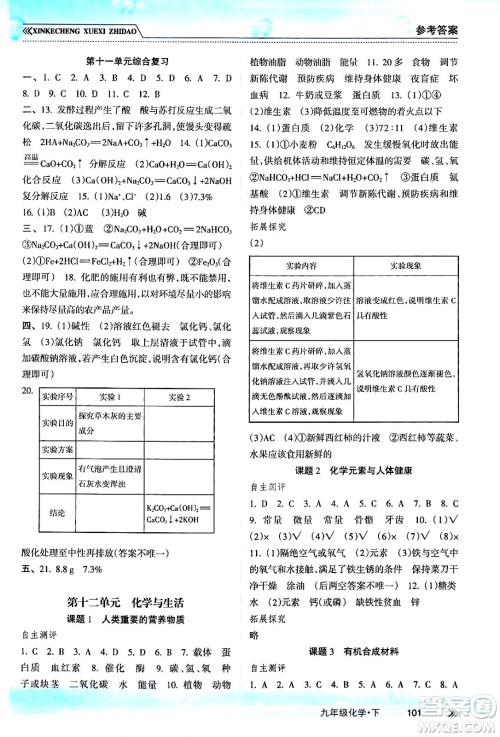 南方出版社2024年春新课程学习指导九年级化学下册人教版答案