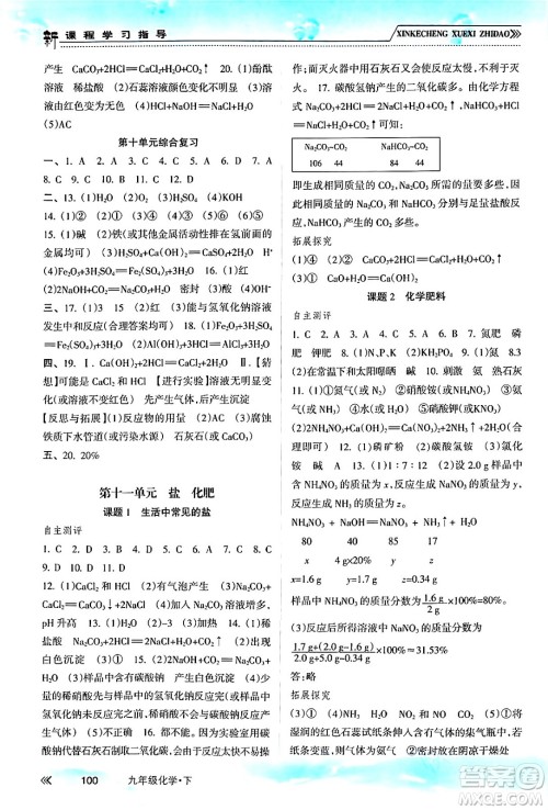 南方出版社2024年春新课程学习指导九年级化学下册人教版答案