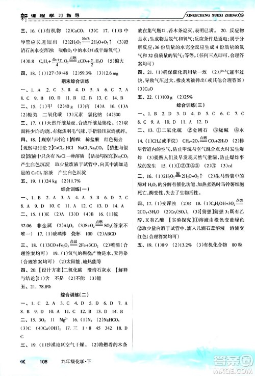 南方出版社2024年春新课程学习指导九年级化学下册人教版答案