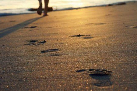 成功之道就在于成功之人的欲望材料作文800字 成功之道就在于成功之人的欲望材料作文800字