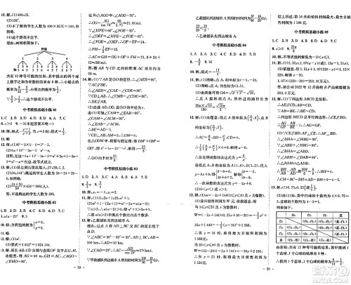 安徽师范大学出版社2024年春课时A计划九年级数学下册沪科版安徽专版答案