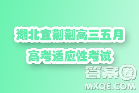 2024届湖北宜荆荆高三五月高考适应性考试数学试题答案