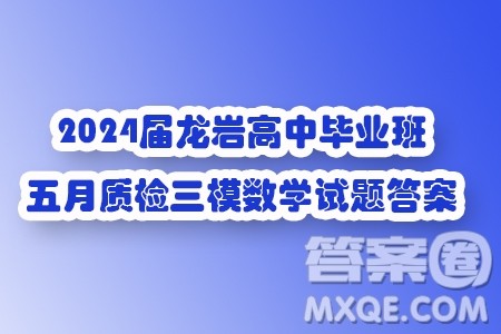 2024届龙岩高中毕业班五月质检三模数学试题答案