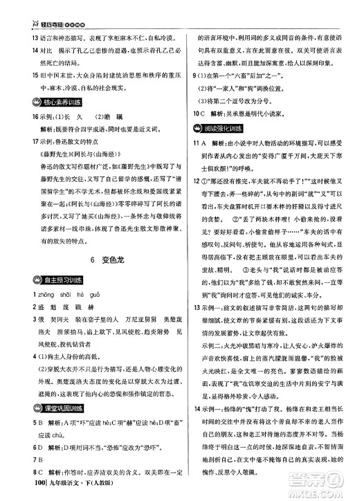 北京教育出版社2024年春1+1轻巧夺冠优化训练九年级语文下册人教版答案