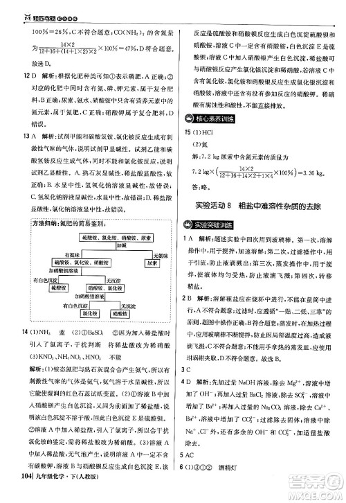 北京教育出版社2024年春1+1轻巧夺冠优化训练九年级化学下册人教版答案