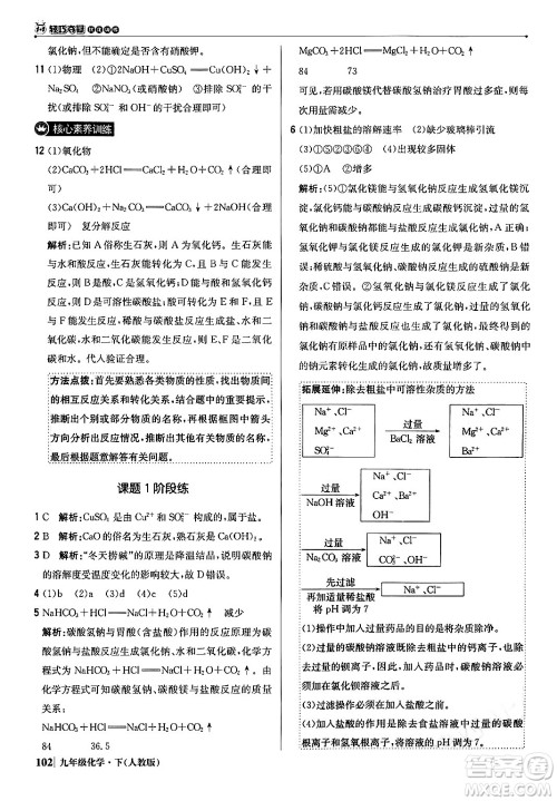 北京教育出版社2024年春1+1轻巧夺冠优化训练九年级化学下册人教版答案