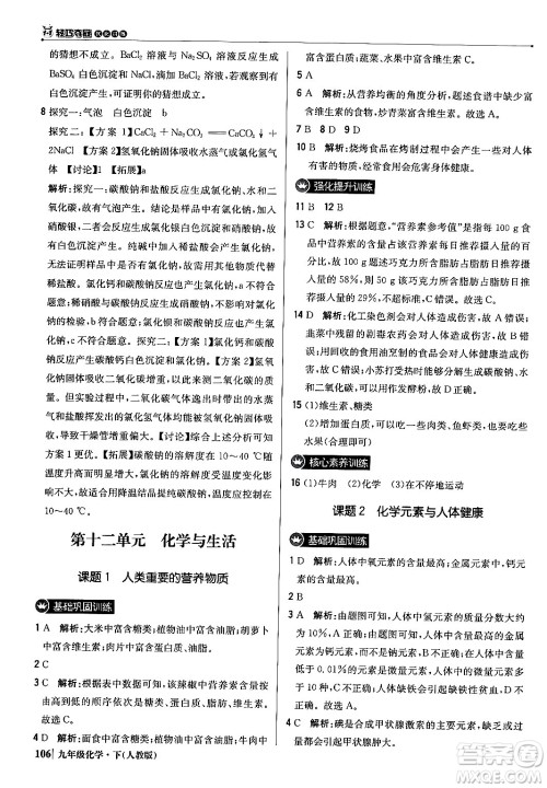 北京教育出版社2024年春1+1轻巧夺冠优化训练九年级化学下册人教版答案