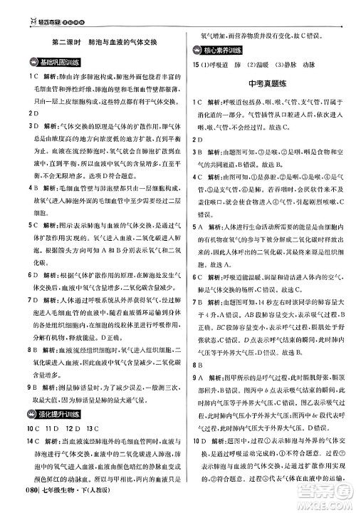 北京教育出版社2024年春1+1轻巧夺冠优化训练七年级生物下册人教版答案