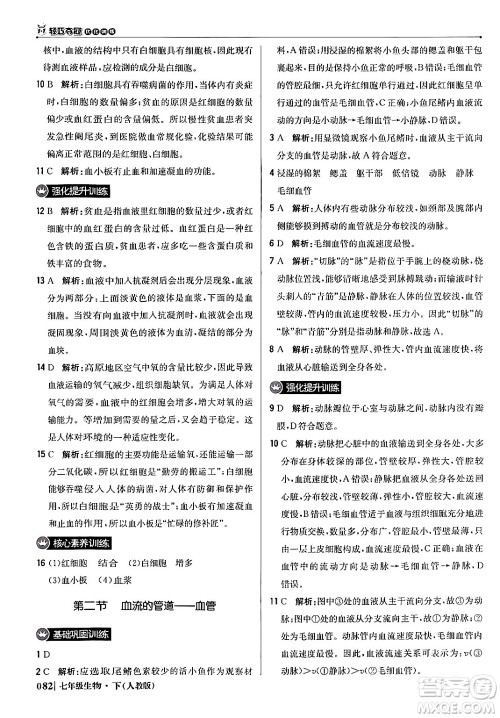 北京教育出版社2024年春1+1轻巧夺冠优化训练七年级生物下册人教版答案