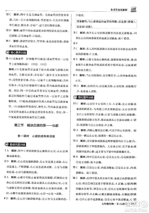 北京教育出版社2024年春1+1轻巧夺冠优化训练七年级生物下册人教版答案
