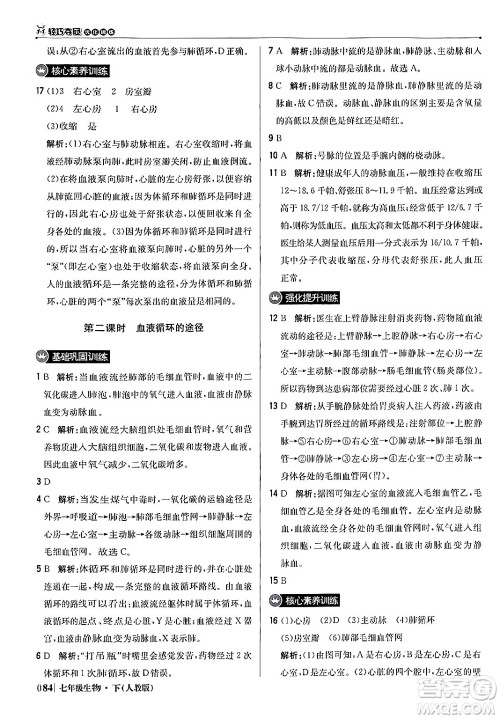 北京教育出版社2024年春1+1轻巧夺冠优化训练七年级生物下册人教版答案