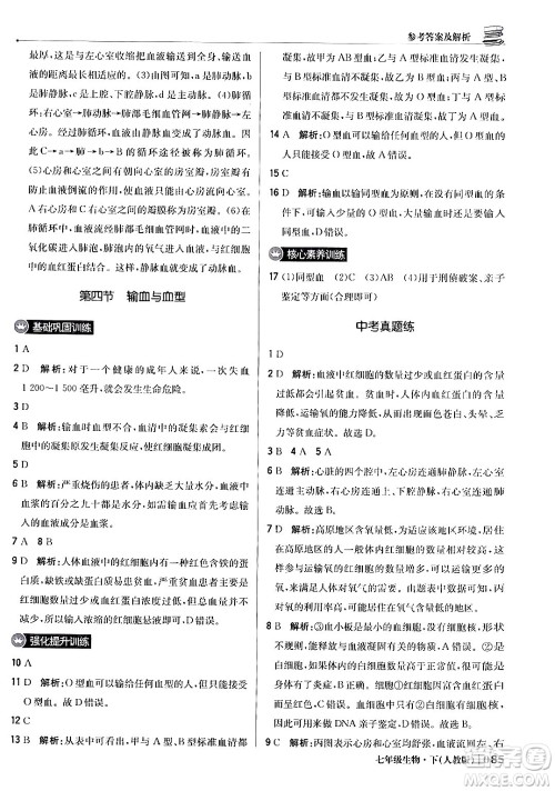 北京教育出版社2024年春1+1轻巧夺冠优化训练七年级生物下册人教版答案
