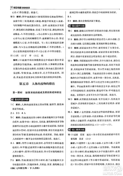 北京教育出版社2024年春1+1轻巧夺冠优化训练七年级生物下册人教版答案