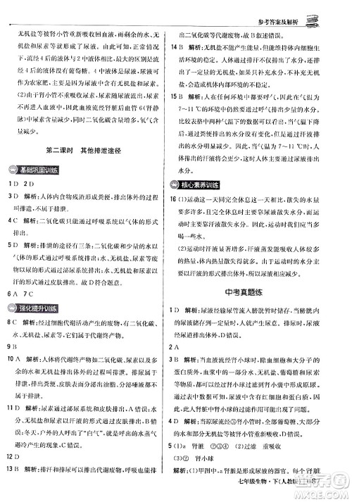 北京教育出版社2024年春1+1轻巧夺冠优化训练七年级生物下册人教版答案