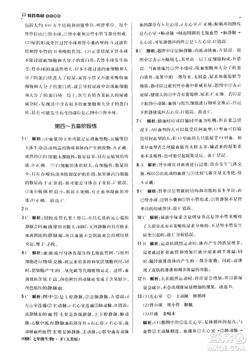 北京教育出版社2024年春1+1轻巧夺冠优化训练七年级生物下册人教版答案