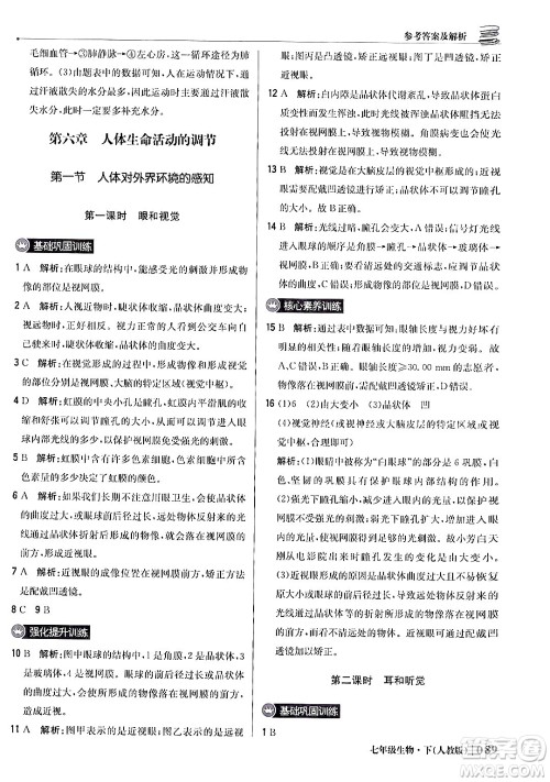 北京教育出版社2024年春1+1轻巧夺冠优化训练七年级生物下册人教版答案
