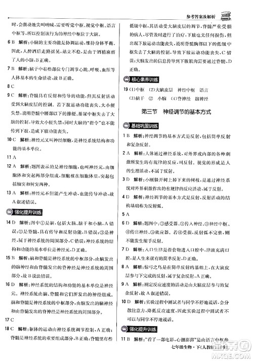 北京教育出版社2024年春1+1轻巧夺冠优化训练七年级生物下册人教版答案