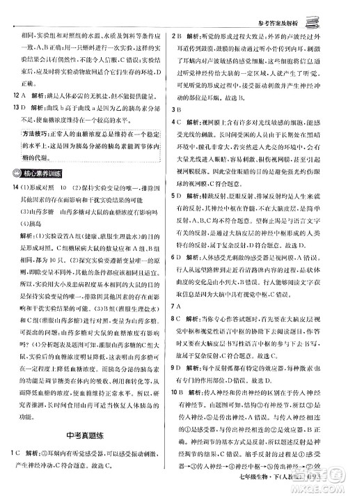 北京教育出版社2024年春1+1轻巧夺冠优化训练七年级生物下册人教版答案