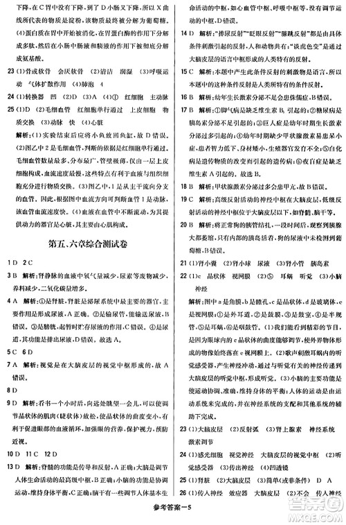 北京教育出版社2024年春1+1轻巧夺冠优化训练七年级生物下册人教版答案