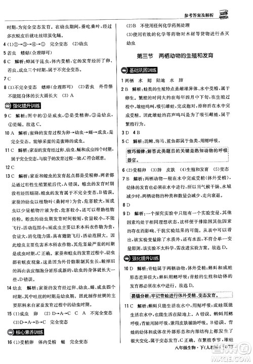 北京教育出版社2024年春1+1轻巧夺冠优化训练八年级生物下册人教版答案