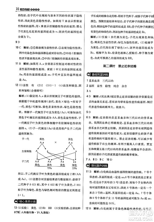 北京教育出版社2024年春1+1轻巧夺冠优化训练八年级生物下册人教版答案