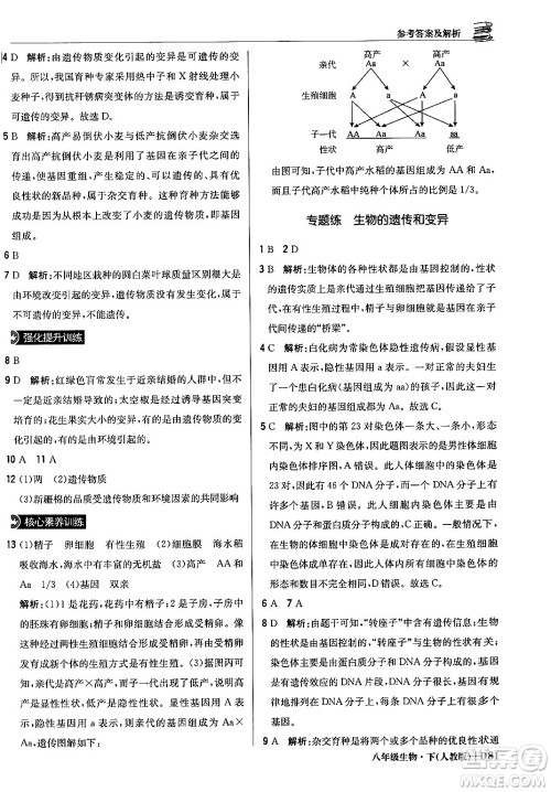 北京教育出版社2024年春1+1轻巧夺冠优化训练八年级生物下册人教版答案