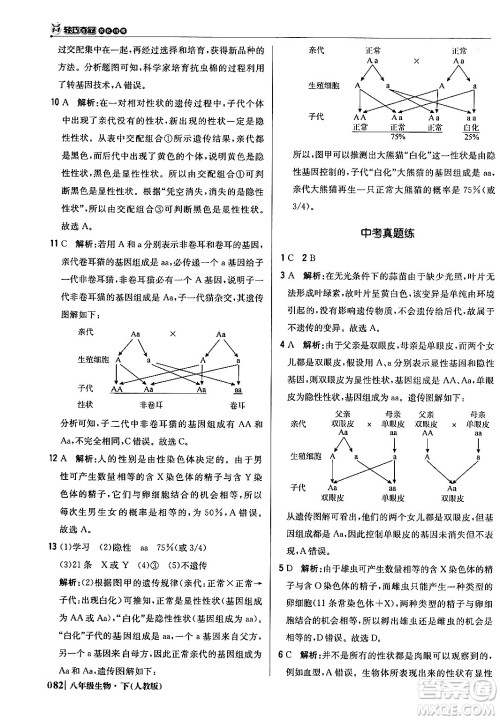 北京教育出版社2024年春1+1轻巧夺冠优化训练八年级生物下册人教版答案