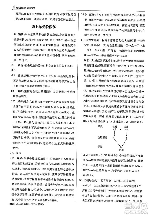 北京教育出版社2024年春1+1轻巧夺冠优化训练八年级生物下册人教版答案