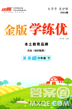 延边大学出版社2024年春金版学练优六年级英语下册人教PEP版答案