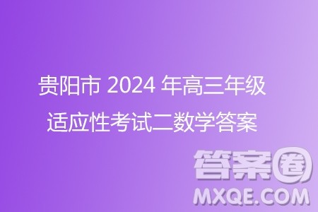 贵阳市2024年高三年级适应性考试二数学答案 贵阳市2024年高三年级适应性考试二数学答案