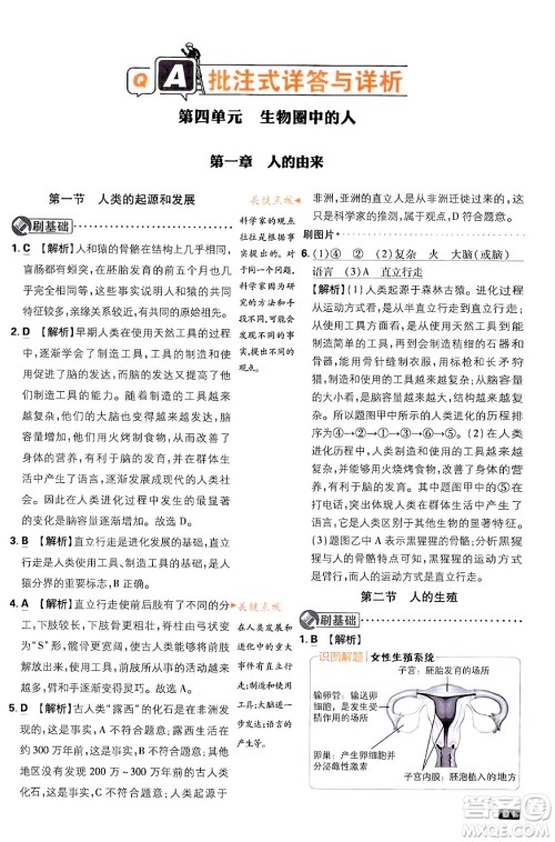 开明出版社2024年春初中必刷题七年级生物下册人教版答案 开明出版社2024年春初中必刷题七年级生物下册人教版答案