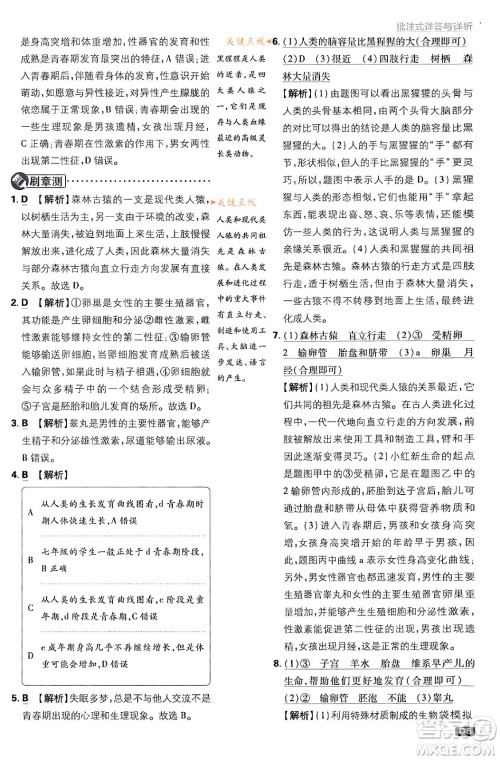 开明出版社2024年春初中必刷题七年级生物下册人教版答案