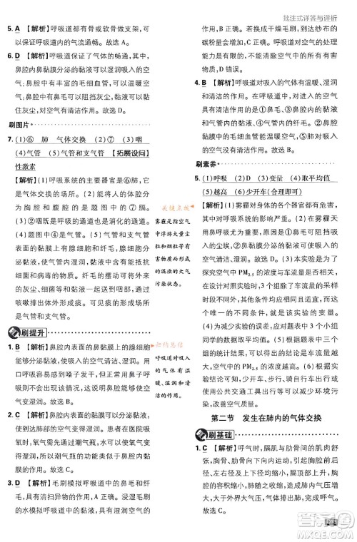 开明出版社2024年春初中必刷题七年级生物下册人教版答案