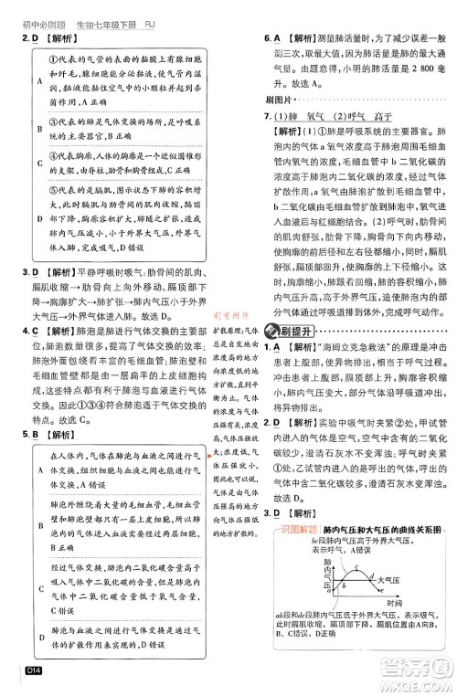 开明出版社2024年春初中必刷题七年级生物下册人教版答案 开明出版社2024年春初中必刷题七年级生物下册人教版答案