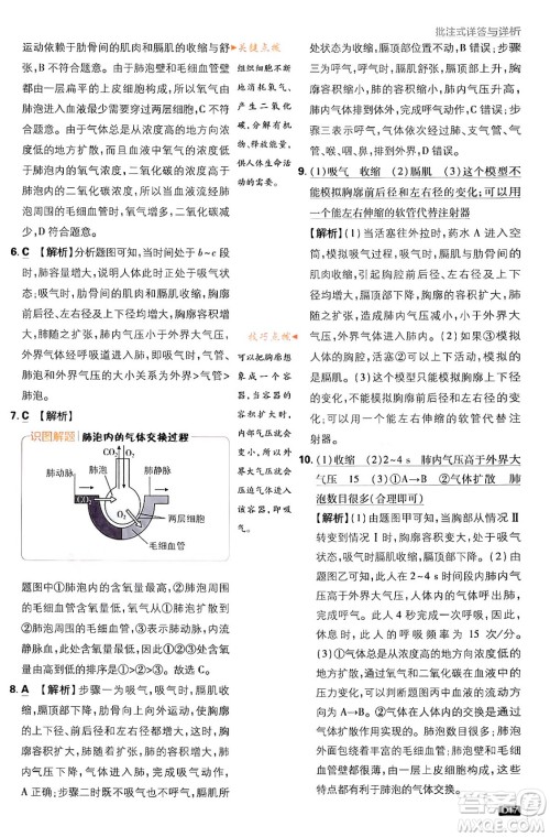 开明出版社2024年春初中必刷题七年级生物下册人教版答案 开明出版社2024年春初中必刷题七年级生物下册人教版答案