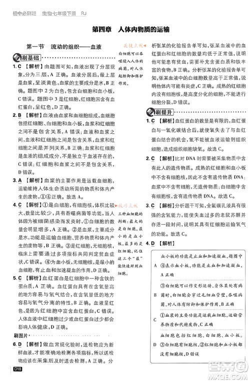 开明出版社2024年春初中必刷题七年级生物下册人教版答案 开明出版社2024年春初中必刷题七年级生物下册人教版答案