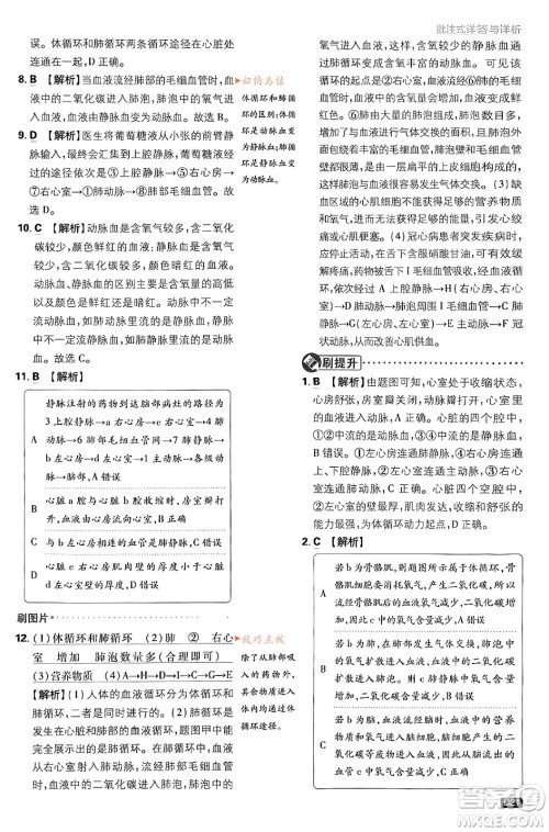 开明出版社2024年春初中必刷题七年级生物下册人教版答案 开明出版社2024年春初中必刷题七年级生物下册人教版答案