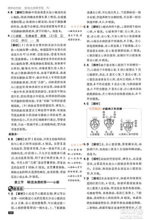 开明出版社2024年春初中必刷题七年级生物下册人教版答案 开明出版社2024年春初中必刷题七年级生物下册人教版答案