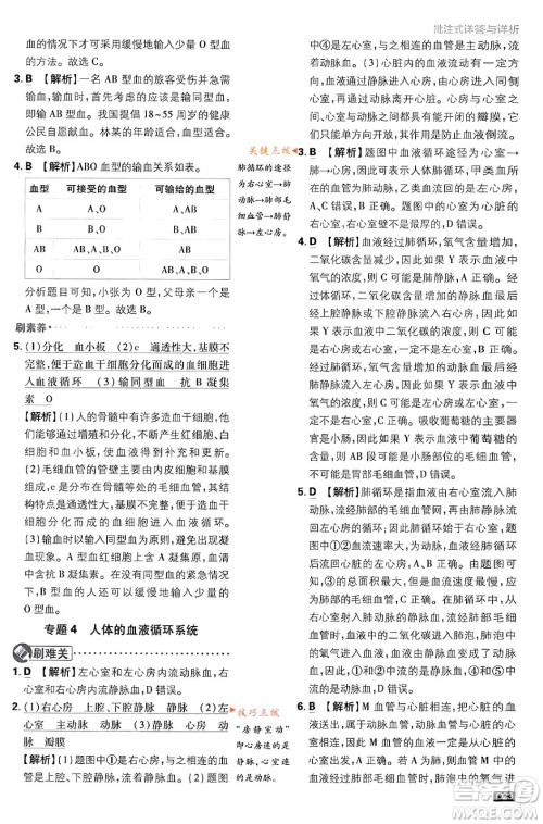 开明出版社2024年春初中必刷题七年级生物下册人教版答案