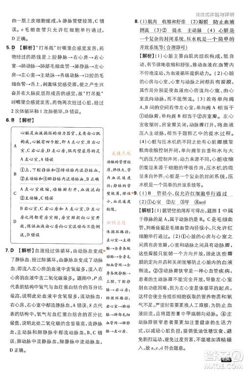 开明出版社2024年春初中必刷题七年级生物下册人教版答案 开明出版社2024年春初中必刷题七年级生物下册人教版答案