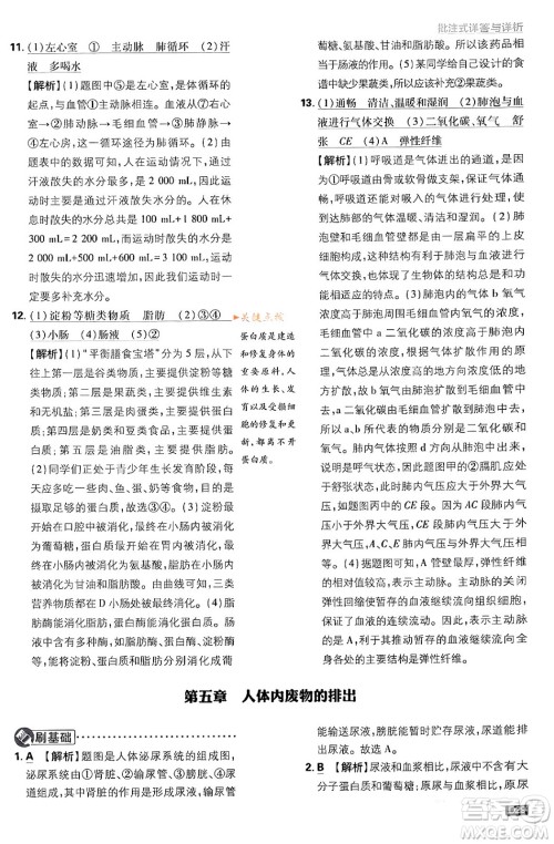 开明出版社2024年春初中必刷题七年级生物下册人教版答案 开明出版社2024年春初中必刷题七年级生物下册人教版答案