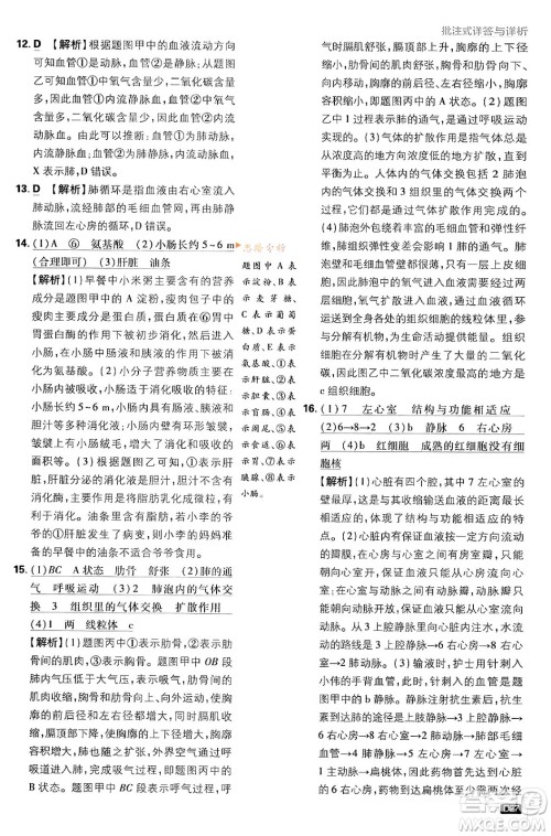 开明出版社2024年春初中必刷题七年级生物下册人教版答案 开明出版社2024年春初中必刷题七年级生物下册人教版答案