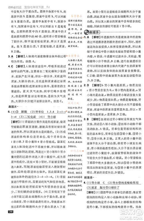 开明出版社2024年春初中必刷题七年级生物下册人教版答案 开明出版社2024年春初中必刷题七年级生物下册人教版答案