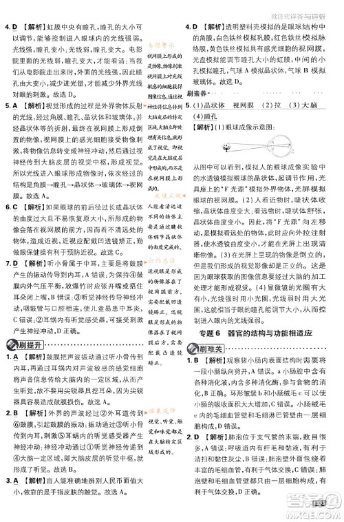 开明出版社2024年春初中必刷题七年级生物下册人教版答案 开明出版社2024年春初中必刷题七年级生物下册人教版答案